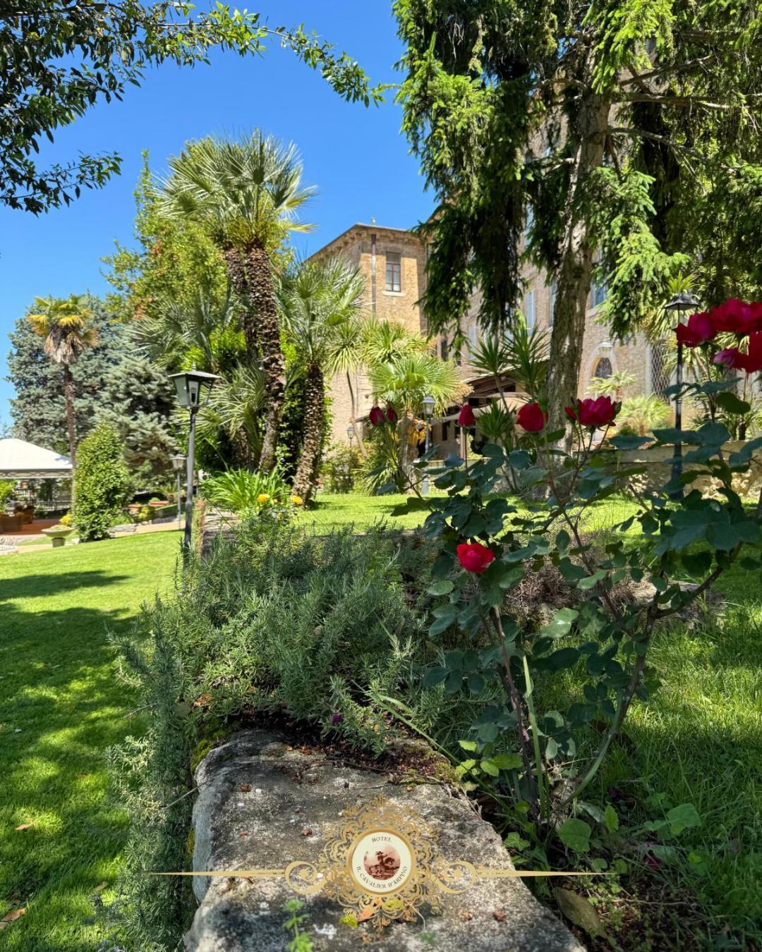 Il Cavalier D'arpino
