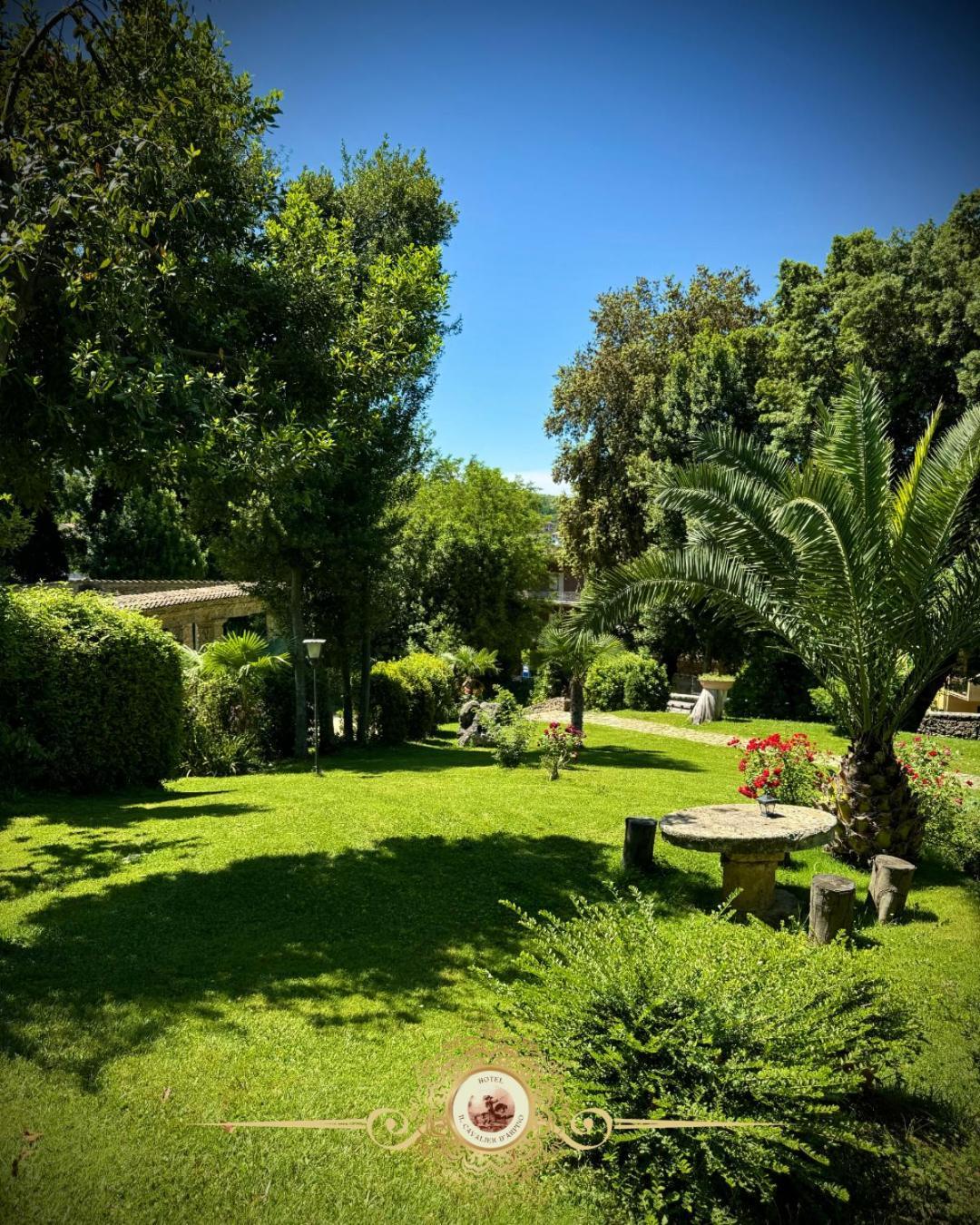 Hotel Il Cavalier D'arpino 3*